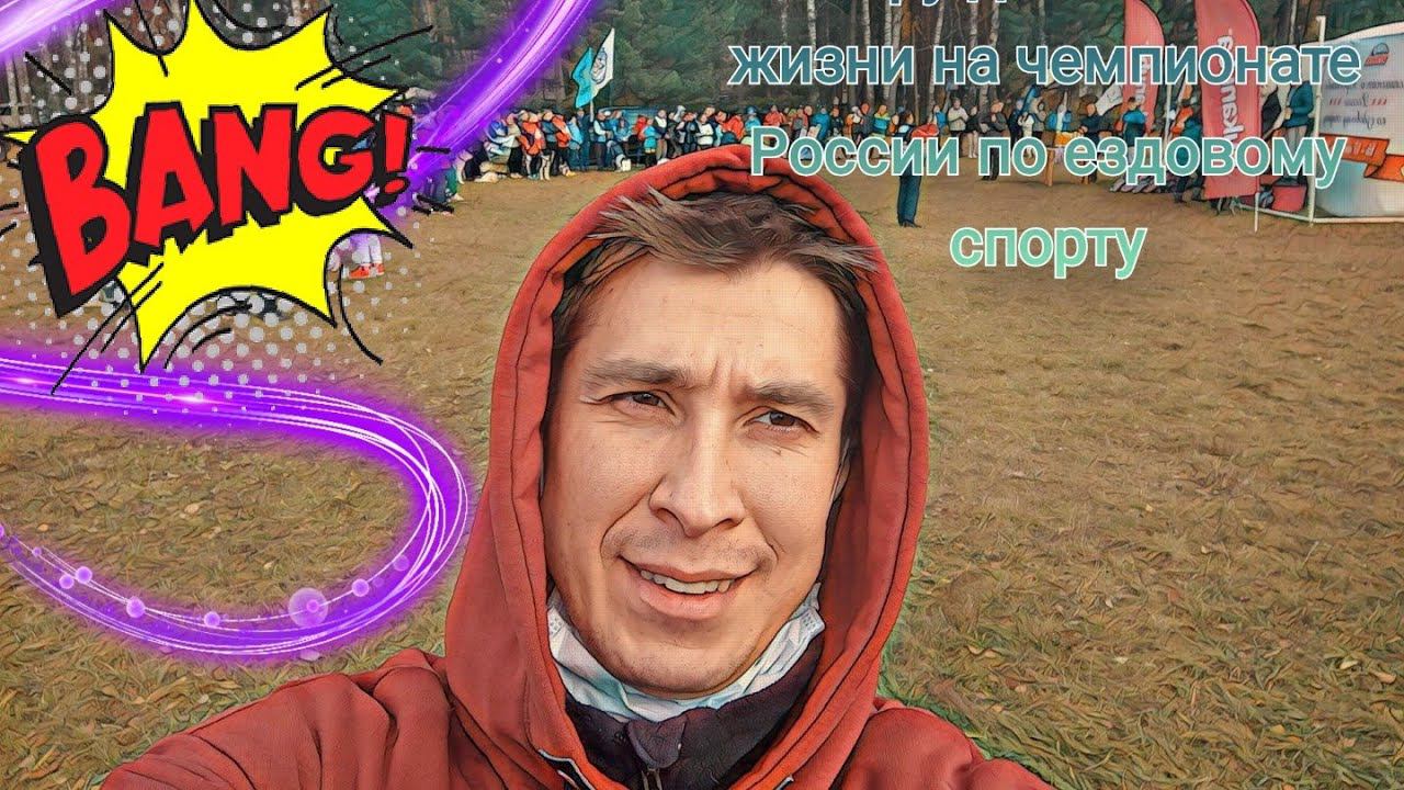Пару дней моей жизни на чемпионате России по ездовому спорту смотреть онлайн