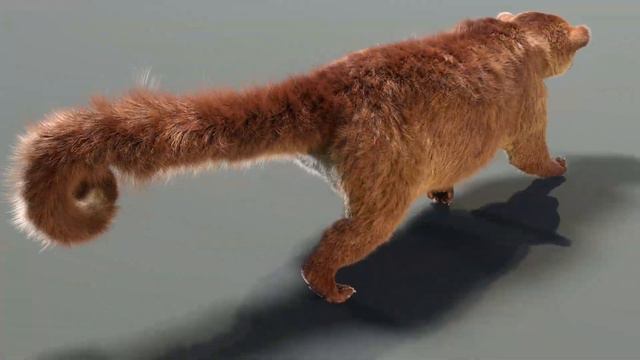 Animated Furry Kinkajou 3D Model: Download - 3Ds Max