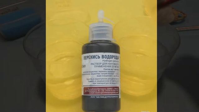 Не сейте томаты, пока не посмотрите.Пять советов для томатов. смотреть онлайн