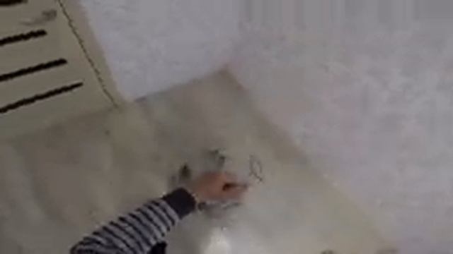 КАК и ЧЕМ поймать ЖИВЦА ЗИМОЙ. Зонт хапуга УНИВЕРСАЛЬНАЯ СНАСТЬ для круглогодичной ловли живца. смотреть онлайн