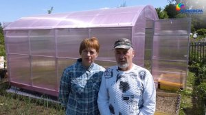 Отзыв о прямостенной теплице Агросфера с поликарбонатом Sellex Botanica / агросфера.рф