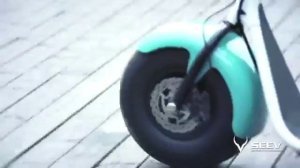 SEEV CITYCOCO  SCROOSER   Крутой электросамокат!