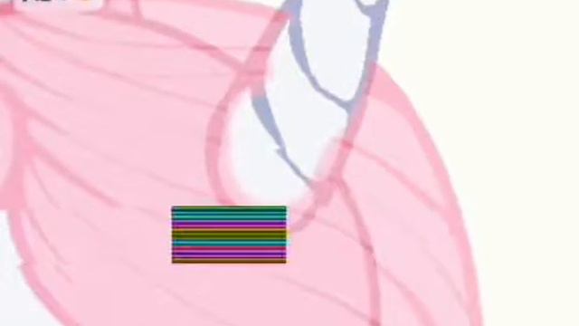 ☆Рисовка времени года ● ВЕСНА смотреть онлайн