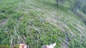 Рыбалка на хариуса на малой речке  Пермский край