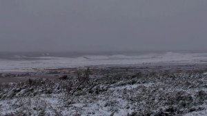 МЕСТА СИЛЫ - Часовня Безымянного Инока Терского