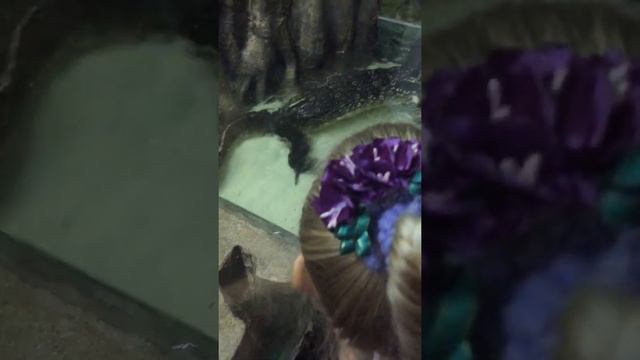 Настоящие животные смотреть онлайн