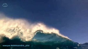 Твой тонкий аромат Шанель