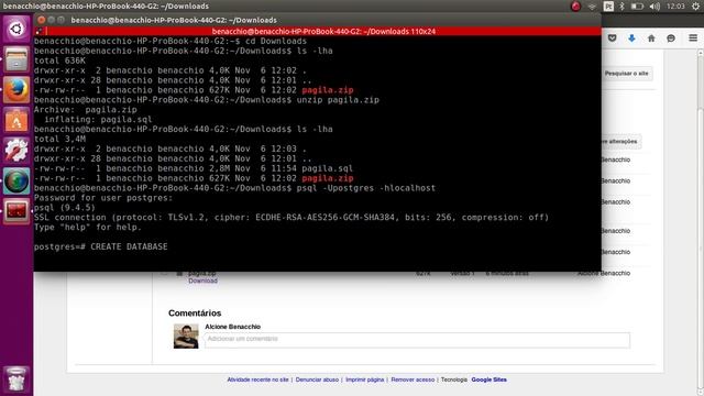 PSQL - Importando a base de dados Pagila смотреть онлайн
