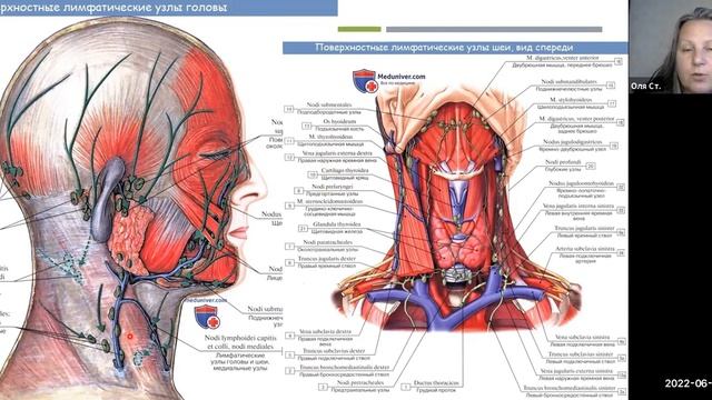 ЛИМФАТИЧЕСКАЯ СИСТЕМА И РАСТЯЖКА смотреть онлайн