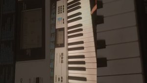 Обзор синтезатора Casio LK-136.Отличный подарок для начинающих