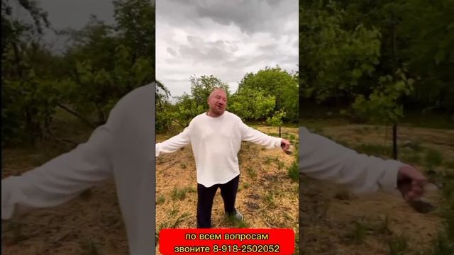 Обзоры / ЛЮБЫЕ СДЕЛКИ С НЕДВИЖИМОСТЬЮ: Продажа/ покупка/ подбор/дома/ участки/ 89182502052