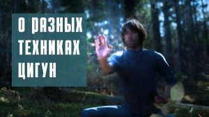 Какие техники есть в цигун?