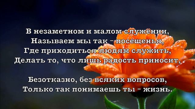 Мужу на день рожденья.  Елена Ваймер