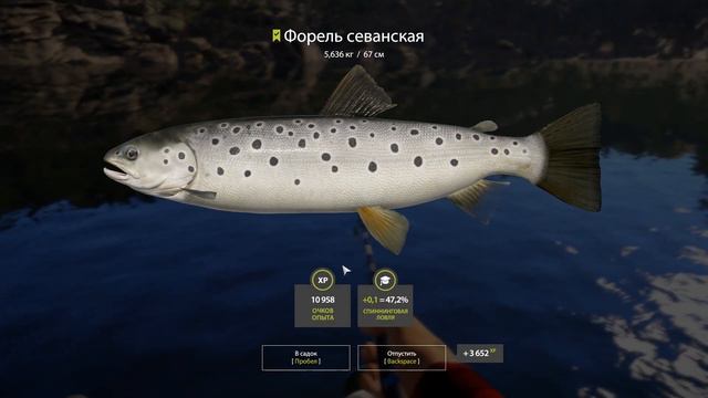 Спиннинг на Куори часть 2. смотреть онлайн