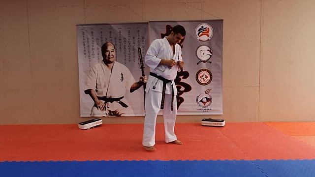 Урок № 2 Карате Кекушинкай г.Новороссийск смотреть онлайн