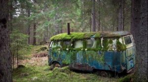 Земля без людей