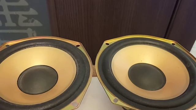 Динамики НЧ/СЧ Sony 1-825-428-11 138 мм
