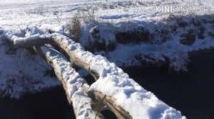 ✅ЛЕГЕНДАРНЫЕ МЕМЫ ДЛЯ МОНТАЖА!