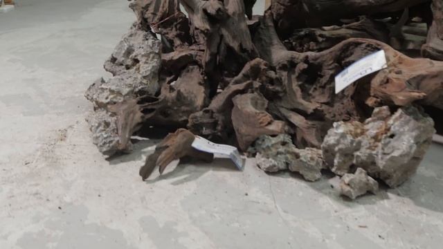 Аквариум на 1000 литров #3. Выбор декораций. Ферганка смотреть онлайн