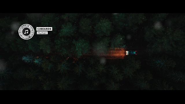 Cjbeards - Human
