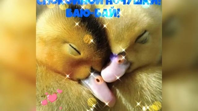 Спокойной осенней ночи и приятных снов!!