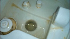 Как почистить увлажнитель воздуха? Дешево, просто, безопасно!