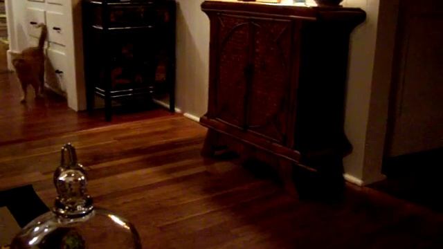 Pumpkin Ball смотреть онлайн