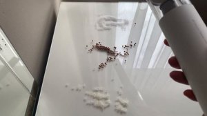 Xiaomi Mijia # РАСПАКОВКА ПОРТАТИВНОГО РУЧНОГО ПЫЛЕСОСА # ОБЗОР И ТЕСТ