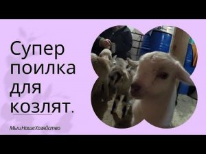 Супер поилка  для козлят