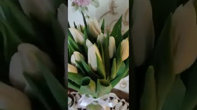 Подарил жене подарок на 8 марта и свободен? смотреть онлайн