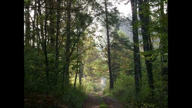 Chopin Mazurka no 6 in A minor op. 7 no. 2 смотреть онлайн