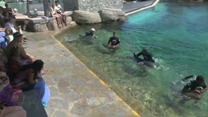 OCEAN WORLD - PUERTO PLATA , DOMINICAN REPUBLIC