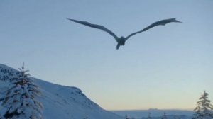 Ясвена Летать (Джон и Дейенерис)