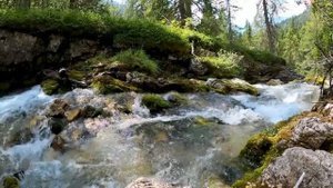 Разлилась, речка быстрая.. (Русская народная)