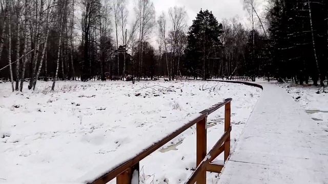 Оленья тропа и настоящие олени! Лосиная биостанция, Национальный парк "Лосиный остров".
