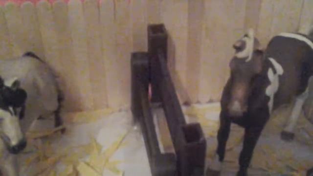 Кто где. Живет из моих лошадей шляйх.^_^ смотреть онлайн