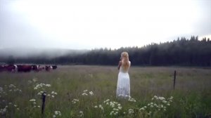 Старая и новая Европа