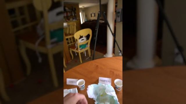 Which Diaper Brand is the Most Absorbent? I test a lot of them! смотреть онлайн