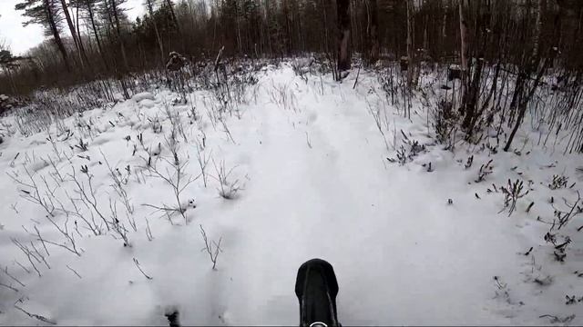 ? №1 МОТО ЗИМА 2021 | Бывшая трасса + горки ❄⛄ смотреть онлайн