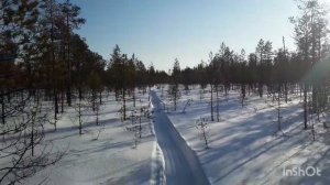 Проблемный рейс за металлом.Мотособака неуправляемая.