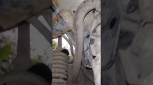 Где находится стартер рено лагуна 1