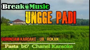 UNGGE PADI -  OCU NADA WANITA   [Karaoke]