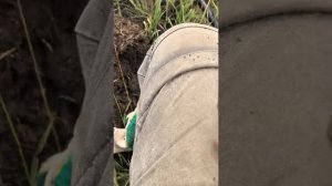 Коп в Омской области. Исчезнувшая советская деревня.