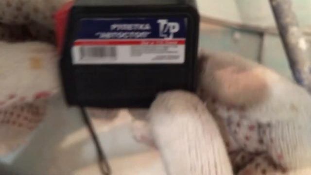 КАКИЕ РУЛЕТКИ ВЫБРАТЬ МНЕНИЕ МАСТЕРА СТРОИТЕЛЯ смотреть онлайн