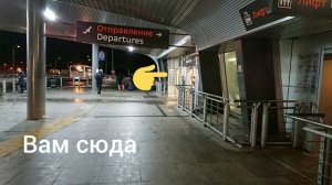 Как добраться до Пулково от метро "Московская"