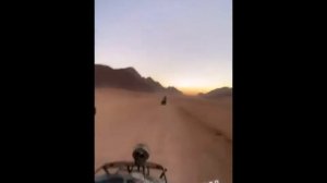 С кем Дарья Петрожицкая улетела отдыхать.