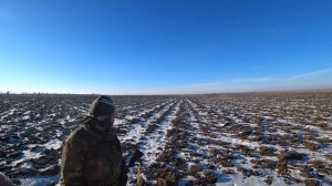 Охота на зайца. Чей ЗАЯЦ? Сезон 2022-2023. #тропление #троплениезайца #охотаназайца#охота