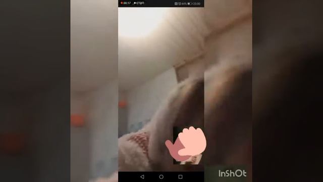 Девочки - незабудки 🥂 смотреть онлайн