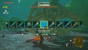 МЕСТА ОБИТАНИЯ МОНСТРОВ (ВЫШКА ДОЗОРНОГО ФОРТА) THE LEGEND OF ZELDA TEARS: OF THE KINGDOM