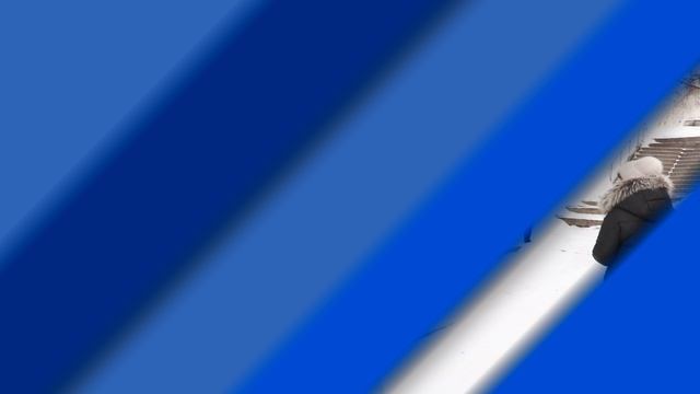 НОВОСТИ ТЫНДЫ от 03.02.24